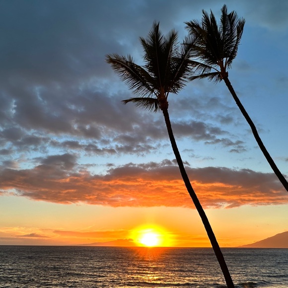 Meet your Posher, Tonya - Picture 11 of 17